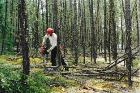 Off-Grid and Free: Pioneer? Really?? Image